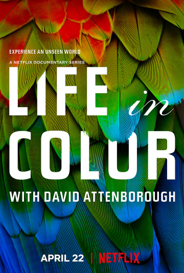 La Vie en couleurs avec David Attenborough saison 1